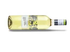 Chardonnay pozdní sběr 2024